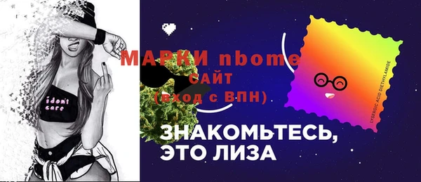 стафф Алзамай