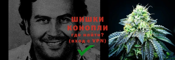 сатива Абаза