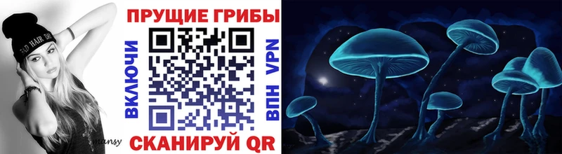 Галлюциногенные грибы Psilocybine cubensis  hydra зеркало  Карасук 
