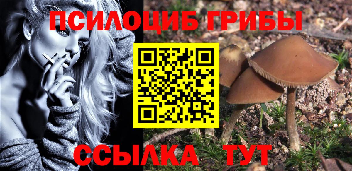 что такое наркотик  Вход с VPN  Карасук  Галлюциногенные грибы Cubensis 