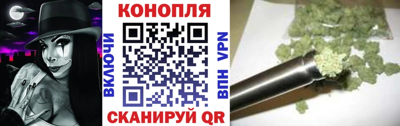 Канабис OG Kush Карасук